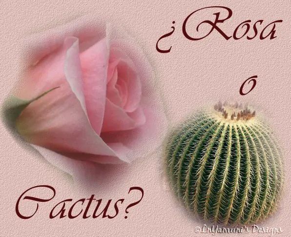 Una rosa con cualquier otro nombre: latigazo cervical y ‘The Bachelor’